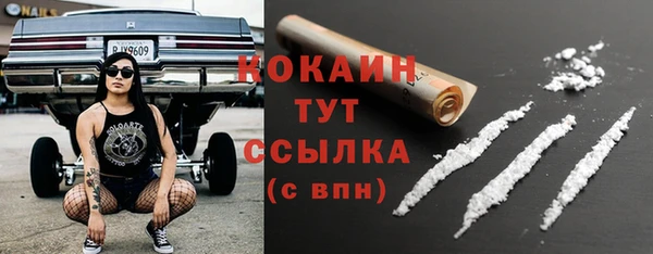 индика Балахна