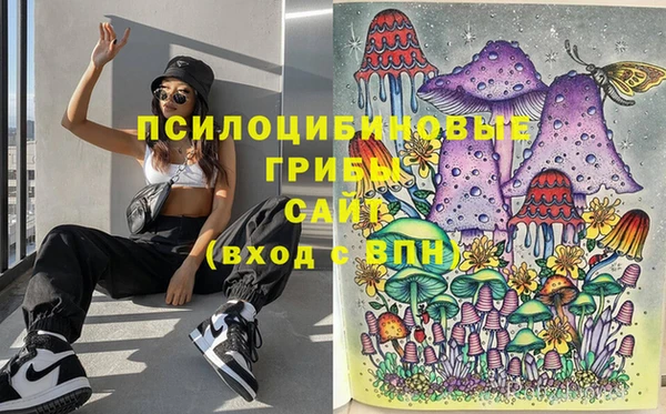 PSILOCYBIN Балабаново