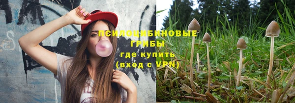 PSILOCYBIN Балабаново