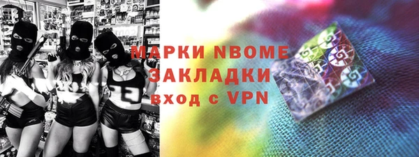 индика Балахна