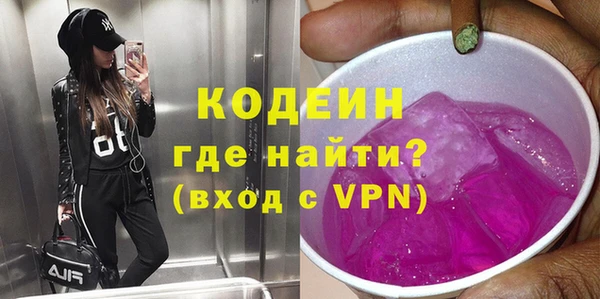 индика Балахна