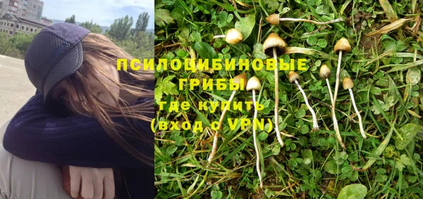 стафф Баксан