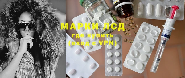 индика Балахна
