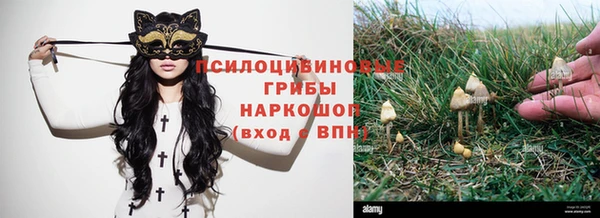 PSILOCYBIN Балабаново