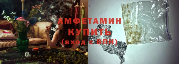 индика Балахна