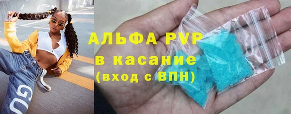 PSILOCYBIN Балабаново
