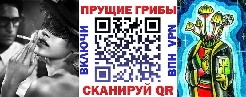 Псилоцибиновые грибы прущие грибы  ссылка на мегу как войти  Среднеуральск 